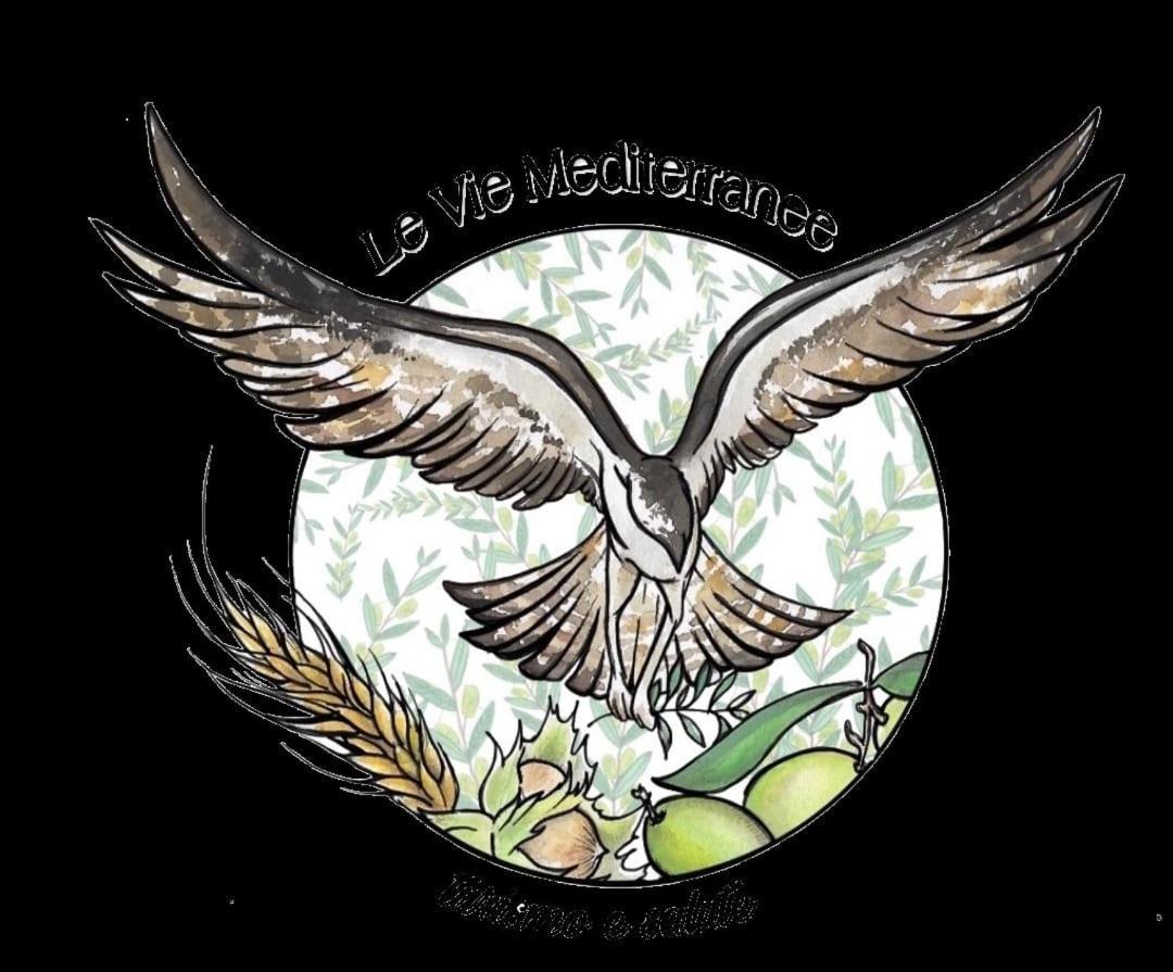 Le Vie Mediterranee 托雷迪鲁杰罗 外观 照片