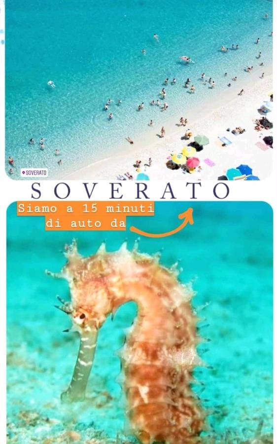 Le Vie Mediterranee 托雷迪鲁杰罗 外观 照片
